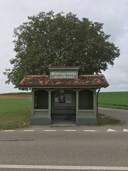 2019 - 23