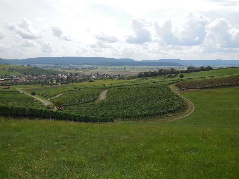 2019 - 60